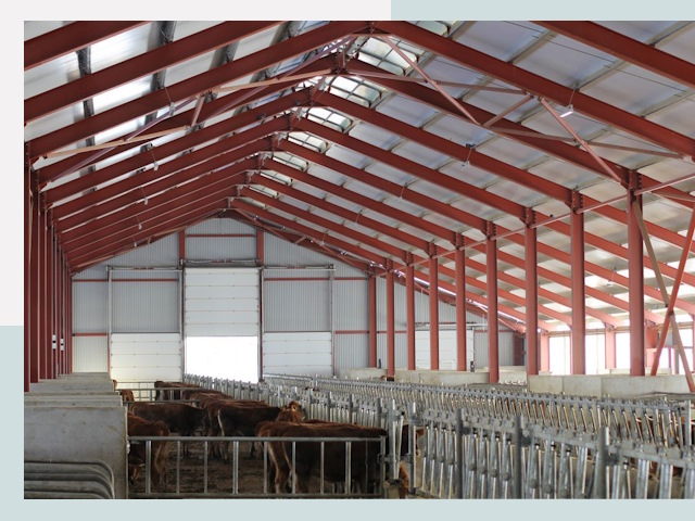 Строительство коровников в Печоре