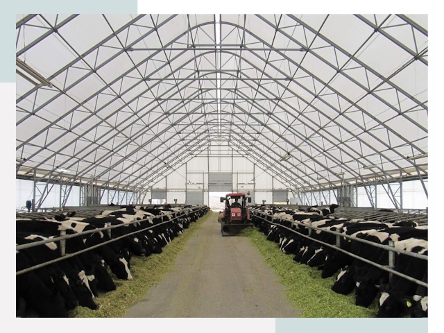 Тентовые коровники в Печоре от 611 руб. - Надежно и доступно