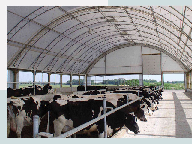 Тентовые коровники в Печоре